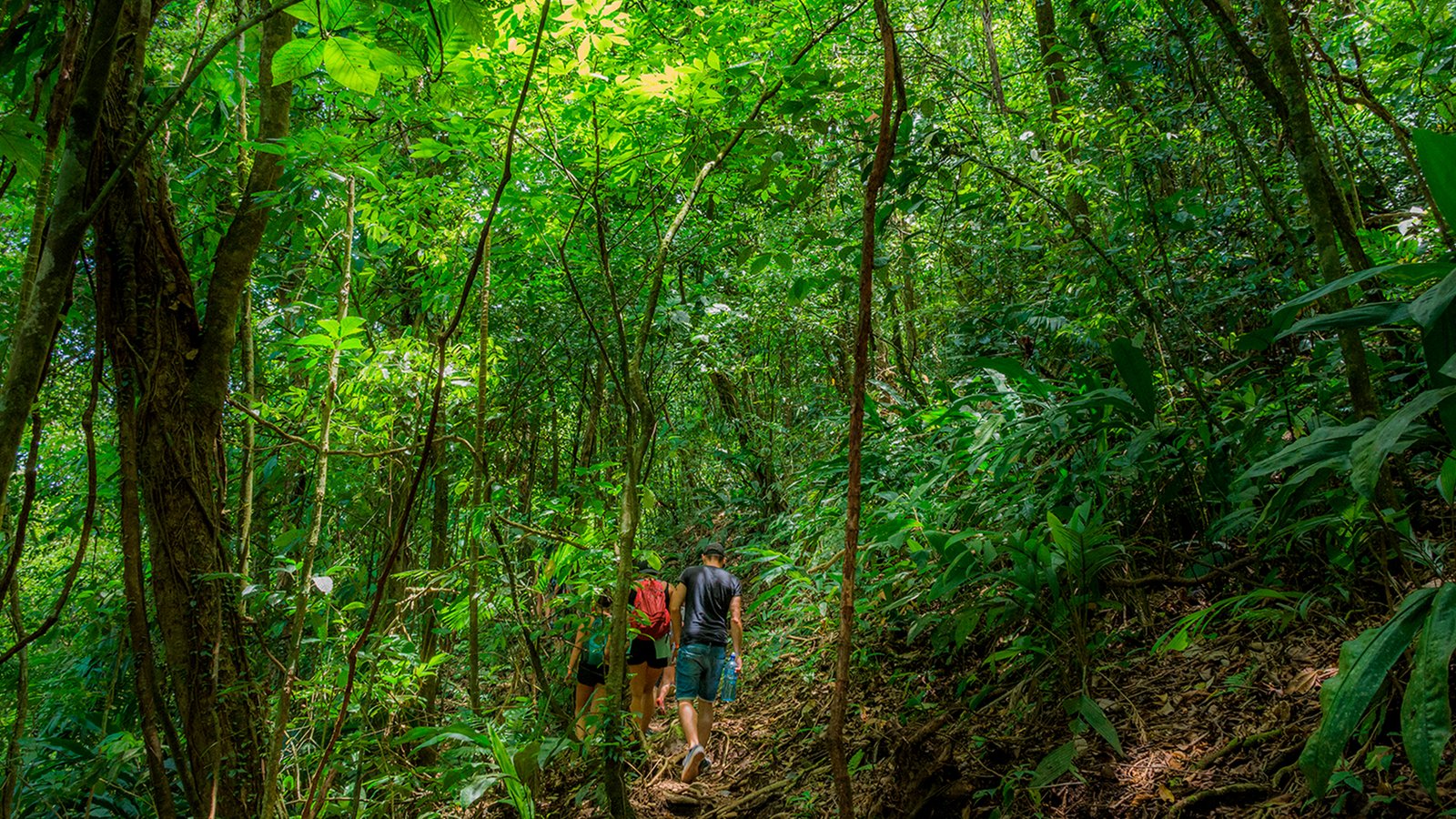 Canopy, Launch & Mystical – Air-Time Zipline Adventure