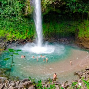 Waterfall & Canopy