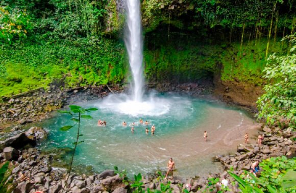 Waterfall & Canopy