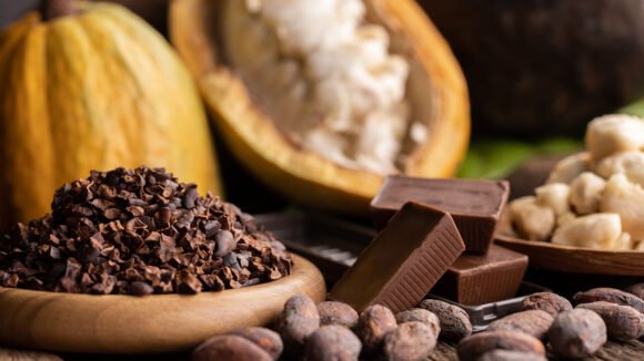 Zipline with Coffee and Chocolate Tour