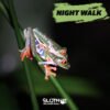 Night-walk-tour-la-fortuna